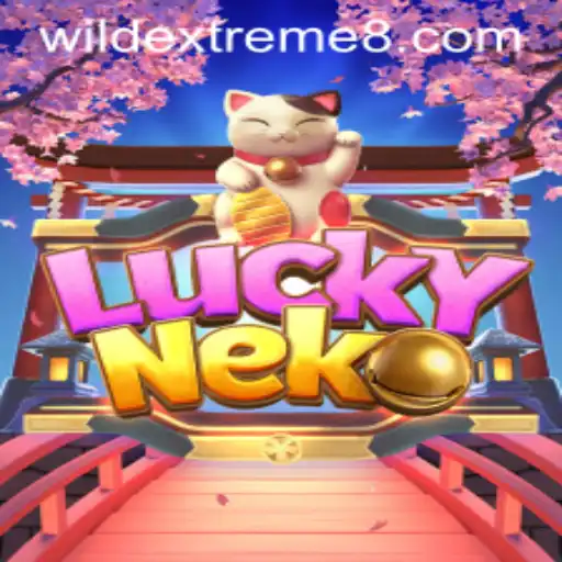 Wild Extreme Casino App